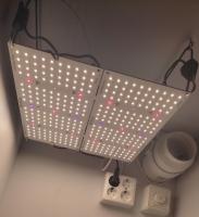 фото led лампа для растений quantum board 120вт samsung, osram, seoul