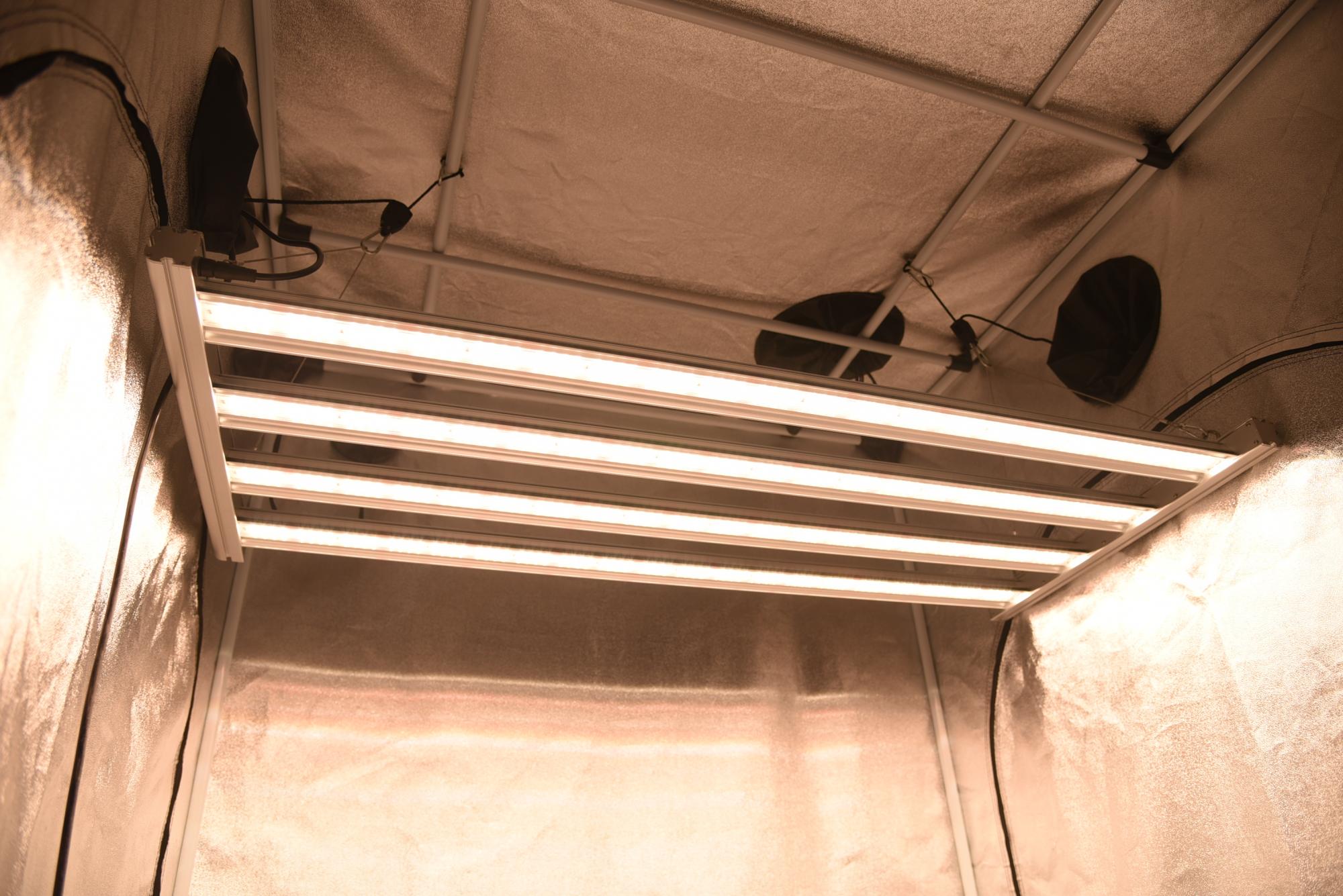 светодиодные светильники в освещении теплиц: преимущества, режим использования, особенности применения