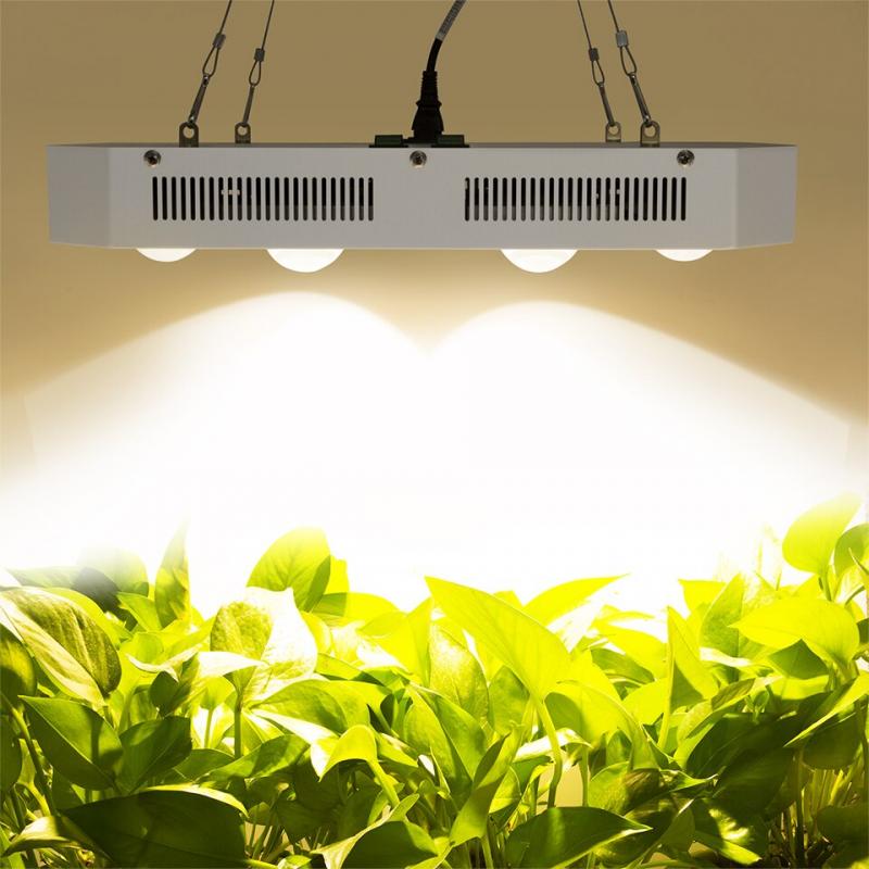 Руководство покупателя светодиодных светильников для выращивания растений