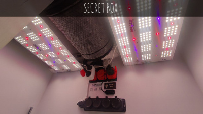 фото secret box гроубокс под ключ тумба 180х100х60 (вхшхг)