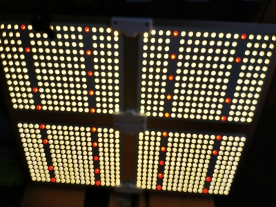 фото led лампа для растений полного спектра quantum board sf-4000 450вт, samsung lm301b, mean weel