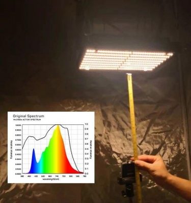 фото led лампа для растений полного спектра quantum board, baja 120w lm301b 3500k