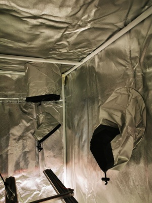 фото гроубокс, гроутент (growbox) ape lab 100x100x200 ткань 600d