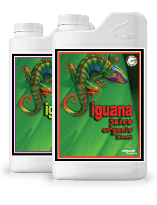 фото iguana juice organic bloom