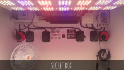 фото secret box гроубокс под ключ тумба 180х80х65 (вхшхг)